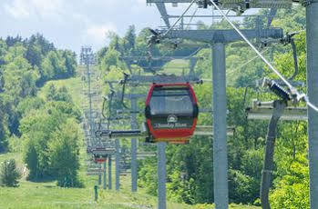 Snow Cap 2*