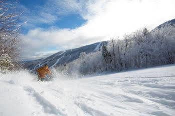 Snow Cap